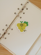 Adhesiu | Frufrutis