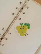 Adhesiu | Frufrutis